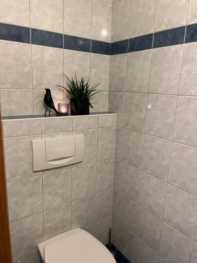 Appartement Stahlhammer Flachau Dış mekan fotoğraf